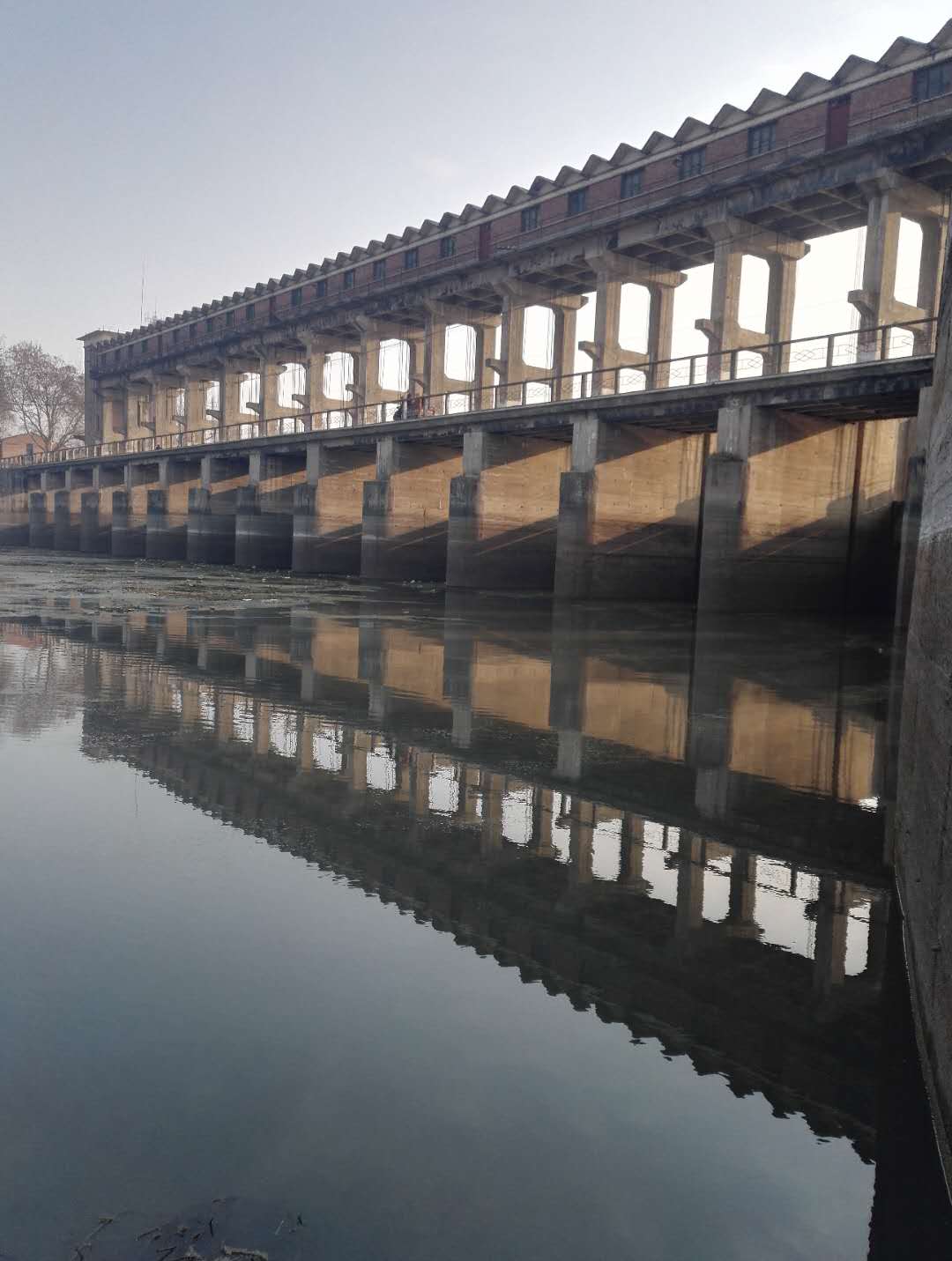 廠房拆除公司 廠房拆除公司